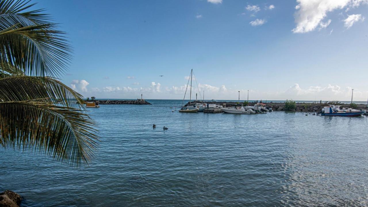 Superbe Studio A La Baie Des Pelicans Le Gosier  Exterior foto